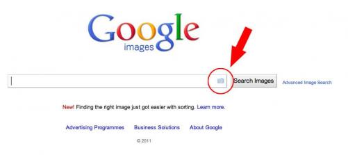 how-to-find-out-if-your-images-are-being-sold-on-the-internet