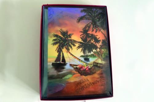 samples-for-tropical-beach-christmas-cards