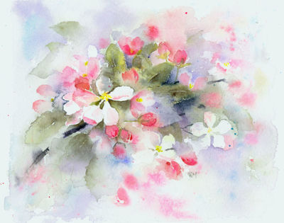 apple-blossom-jpg