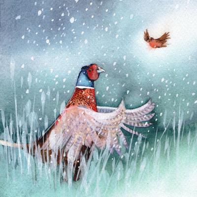 pheasant-christmas-robin