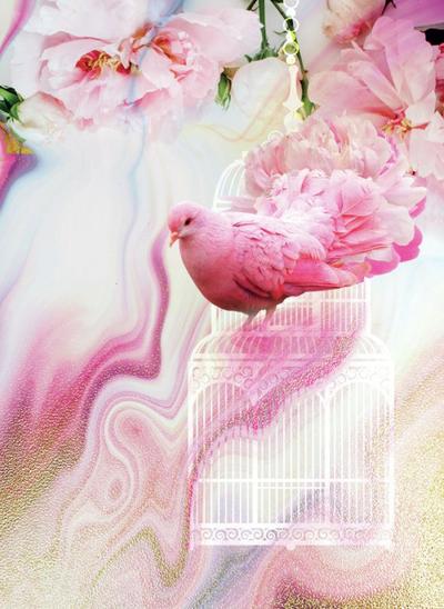 lsk-marble-floral-pink-dove-bird-cage