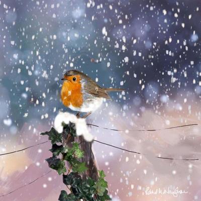 robin-in-fence