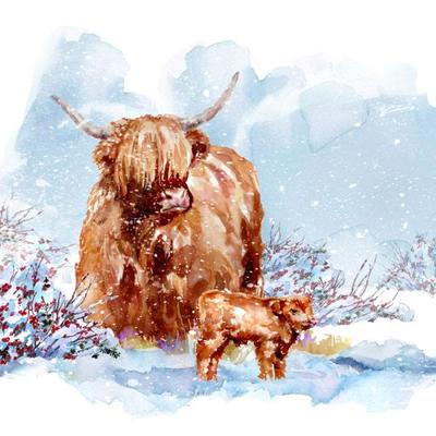 xmas-higland-cow-calf