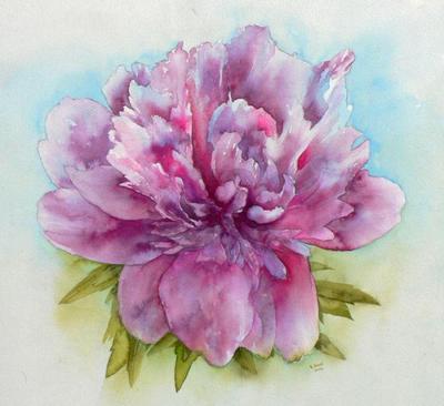 wall-art-peony