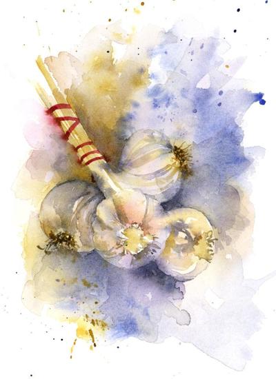 526-bunch-of-garlic-jpg