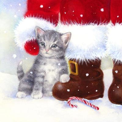 la-tsup-kitten-jpg
