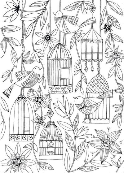liz-and-kate-adult-colouring-birds-1