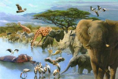 waterhole-artwork-s-jpg