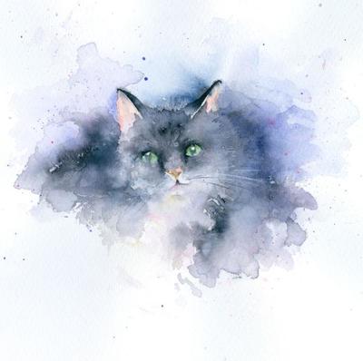 splashy-cat-2