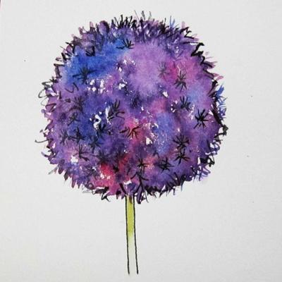 allium-jpg