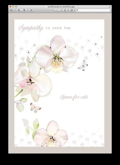 orchid-symp-png
