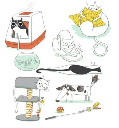 cat-dog-pets-toys-funny-humor-animals