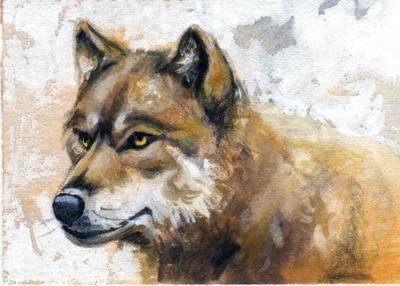 straw-wolf-darker-jpg