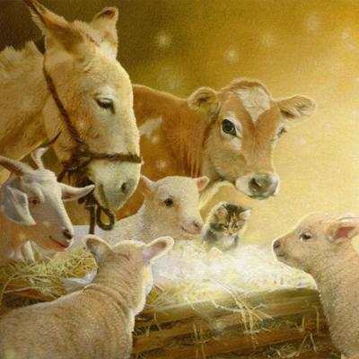 animal-nativity-sb-jpg
