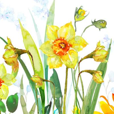 daffodils-flora-final-jpg