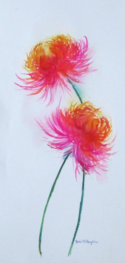 chrysanthemum-1-jpg