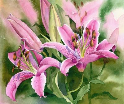 144-stargazer-lilies-jpg