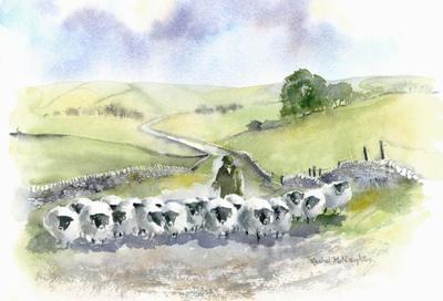 138-dales-shepherd-jpg