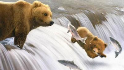 the-bear-s-aw-jpg