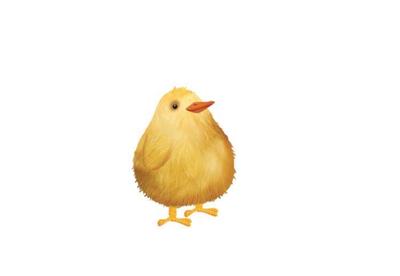 spafc073-chick-v1-1-01-jpg-1