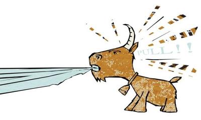 goat-pulling-yng-2-300-jpg