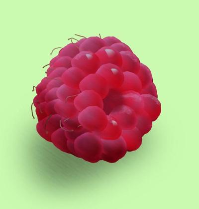 raspberry-sm1-1-jpg