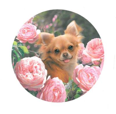 dog-in-pink-roses-jpg