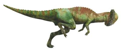 stegoceras-aw-jpg