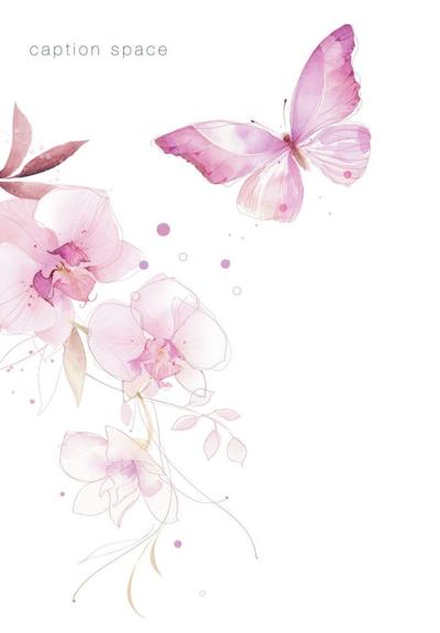 orchid-butterfly-front-jpg