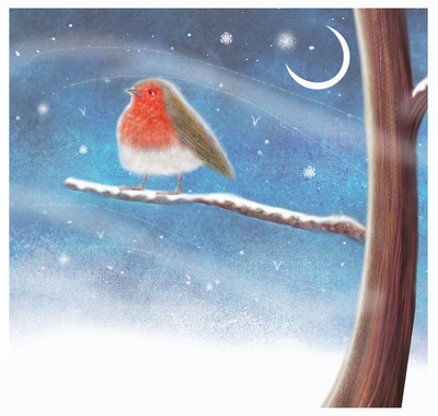 robin-jpg-25