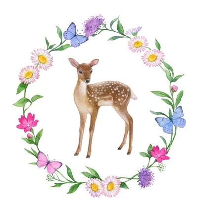 la-border-deer-jpg