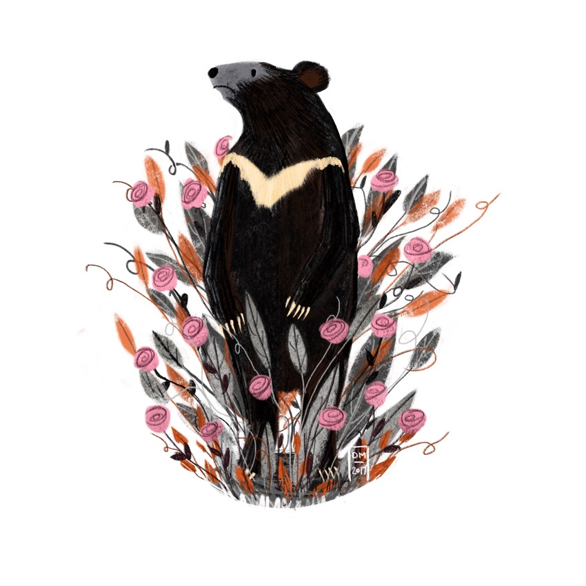 Asiatic_black_bear.jpg
