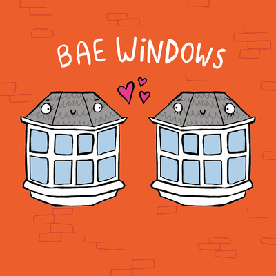 bae-windows-jpg