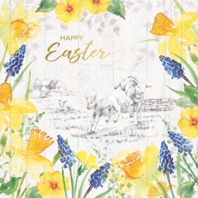 00225-dib-sgarden-easter-lambs-jpeg