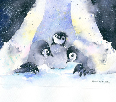 penguin-creche-jpg