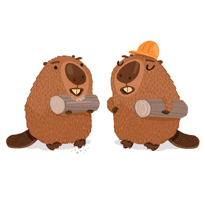 beavers-building-jpg