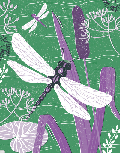 dragonfly-over-pond-jpg