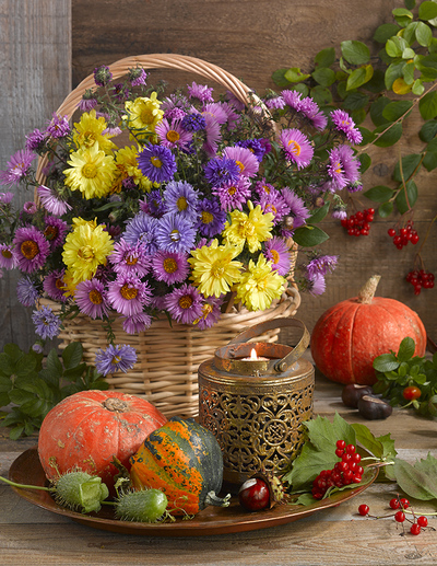 floral-still-life-greeting-card-autumn-lmn64438-jpg
