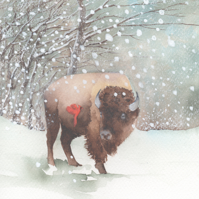 bison-cardina-snow-christmas-american-animalsl-jpg
