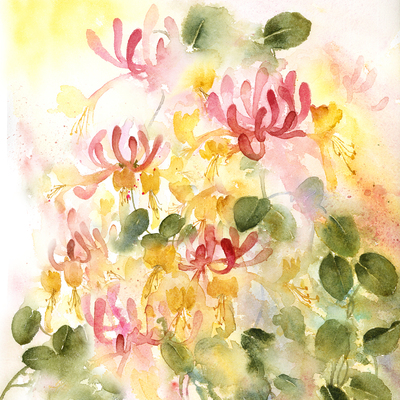 421-honeysuckle-sq-jpg