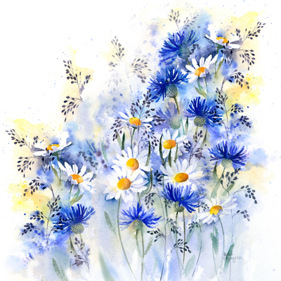 daisies-and-cornflowers-copy-jpg