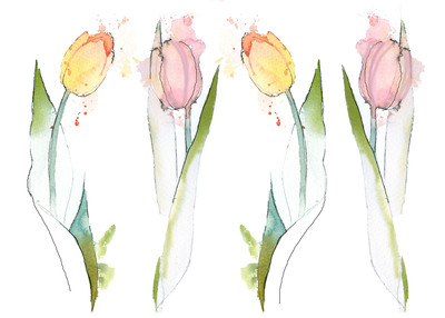 tulips-jpg-8