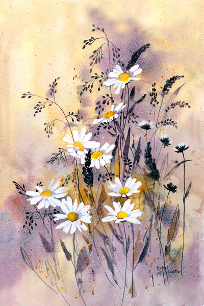 daisy-meadow-jpg-1