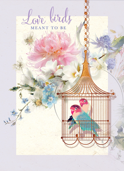 lsk-love-birds-bird-cage-jpg