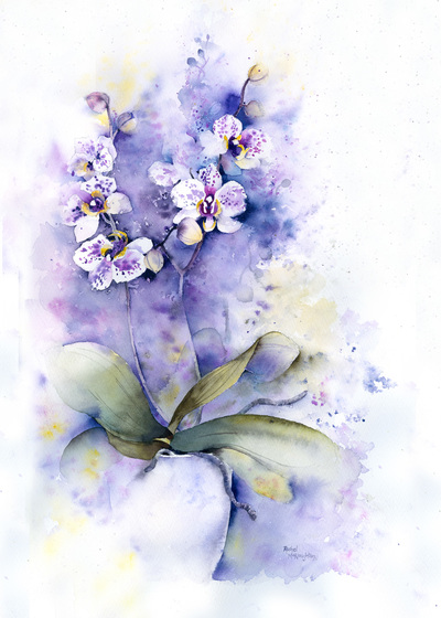 spotted-orchid-jpg