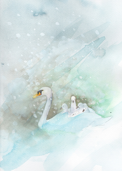 swan-cygnets-snow-small-jpg