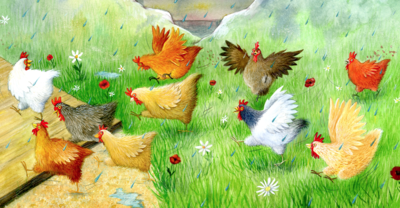 chickenfamilylr-png