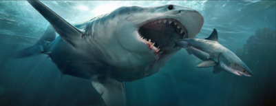 greatwhitelr-png