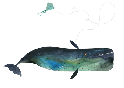 kite-whale-animal-jpg
