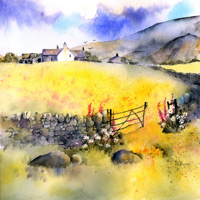summer-meadow-swaledale-jpg